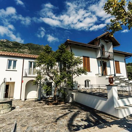Tenuta Calitto Wine Resort E Spa Ischia Esterno foto