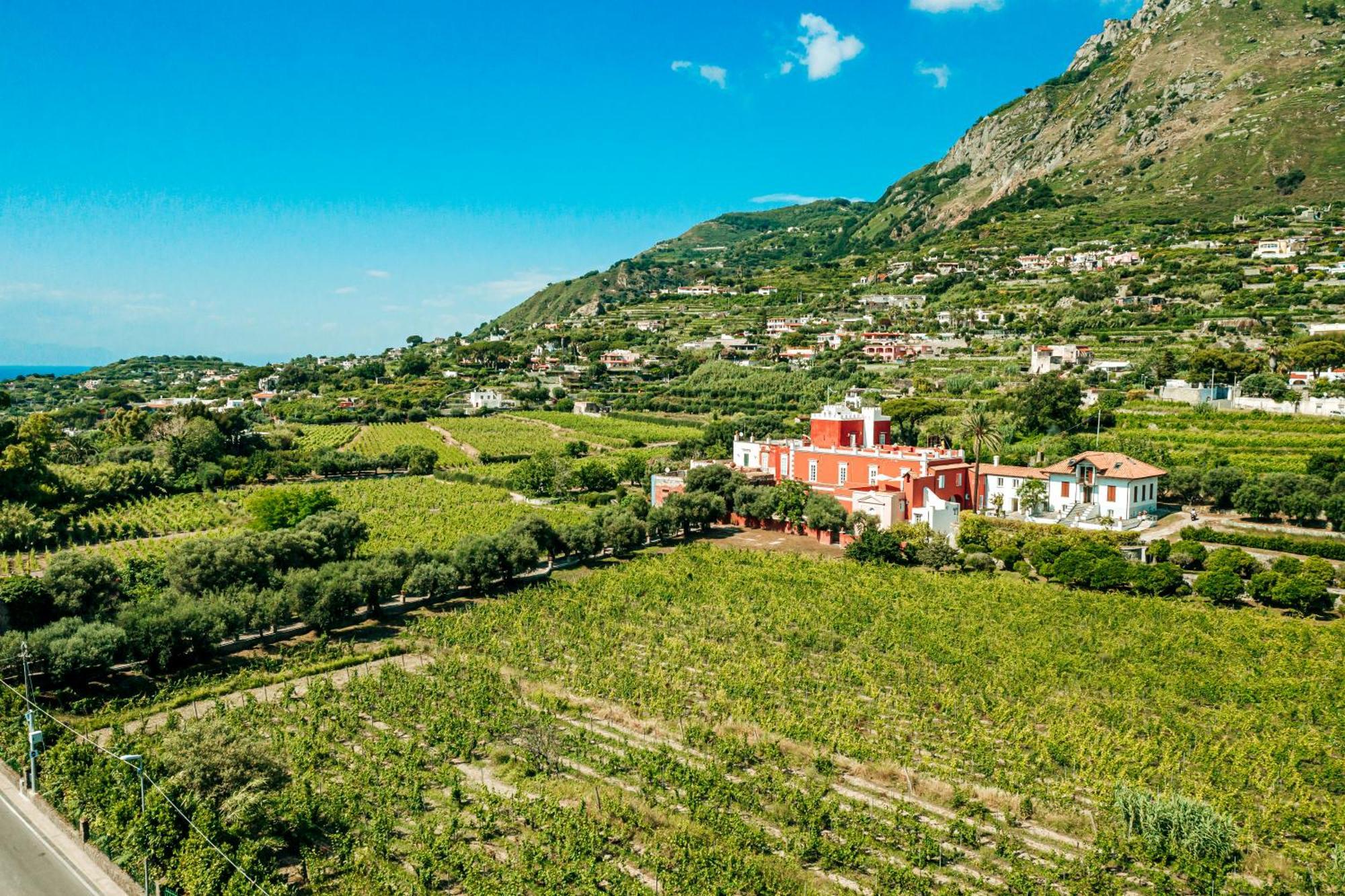 Tenuta Calitto Wine Resort E Spa Ischia Esterno foto