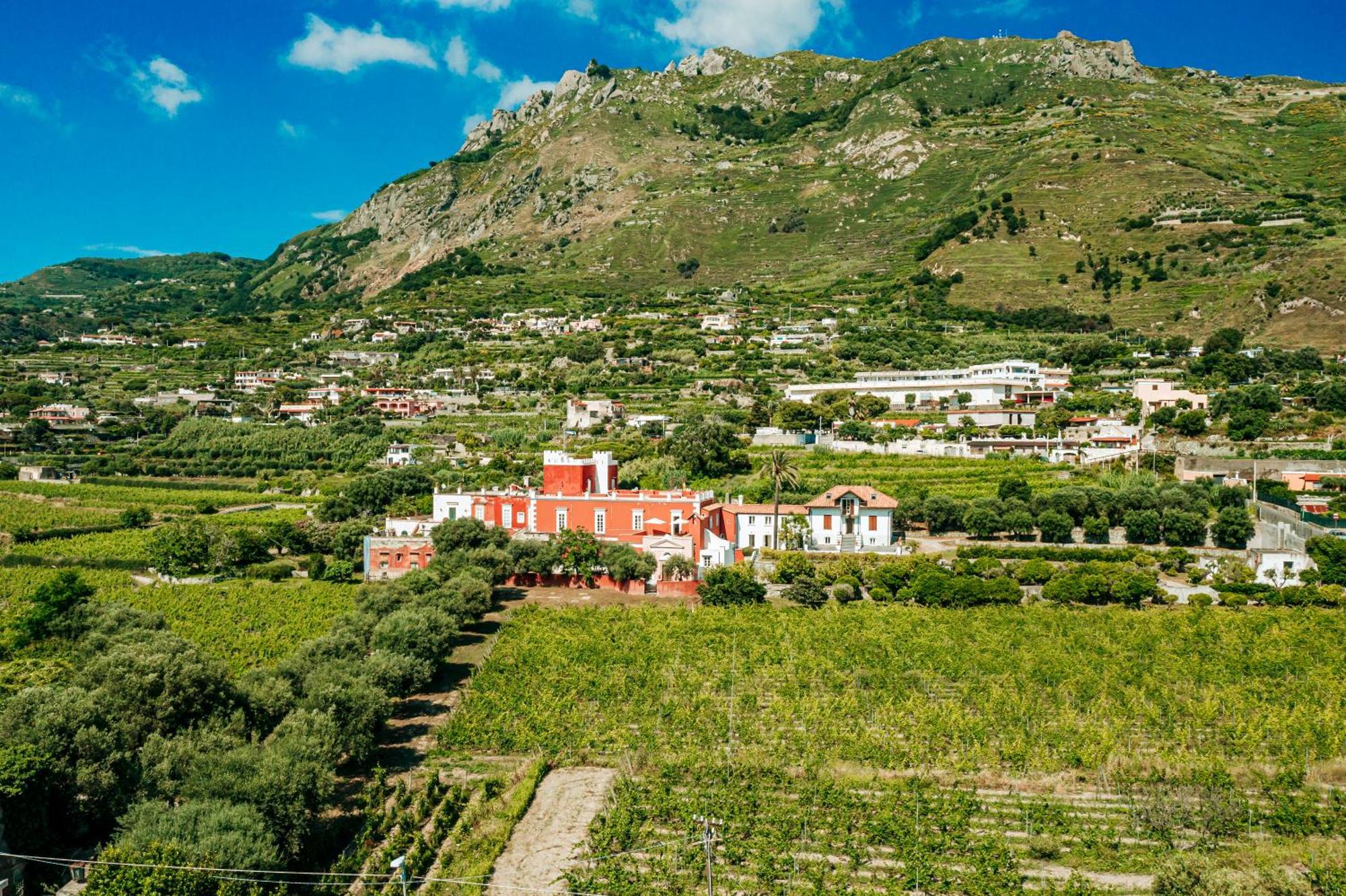 Tenuta Calitto Wine Resort E Spa Ischia Esterno foto