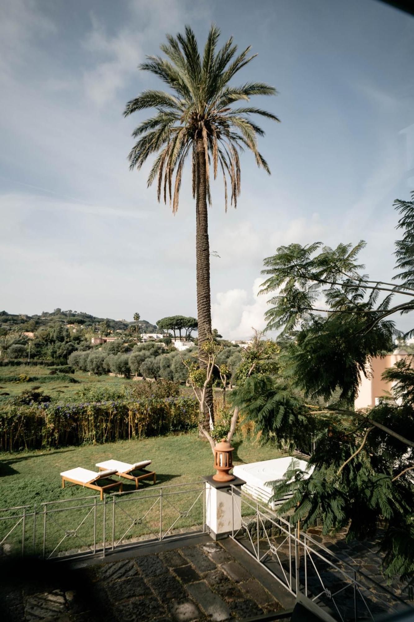 Tenuta Calitto Wine Resort E Spa Ischia Esterno foto