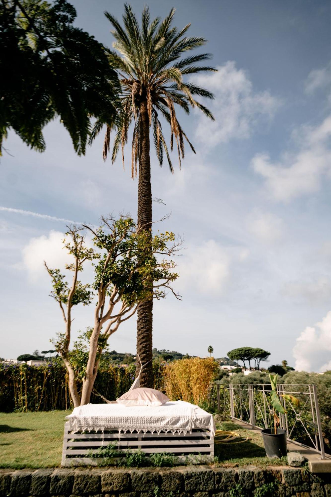 Tenuta Calitto Wine Resort E Spa Ischia Esterno foto