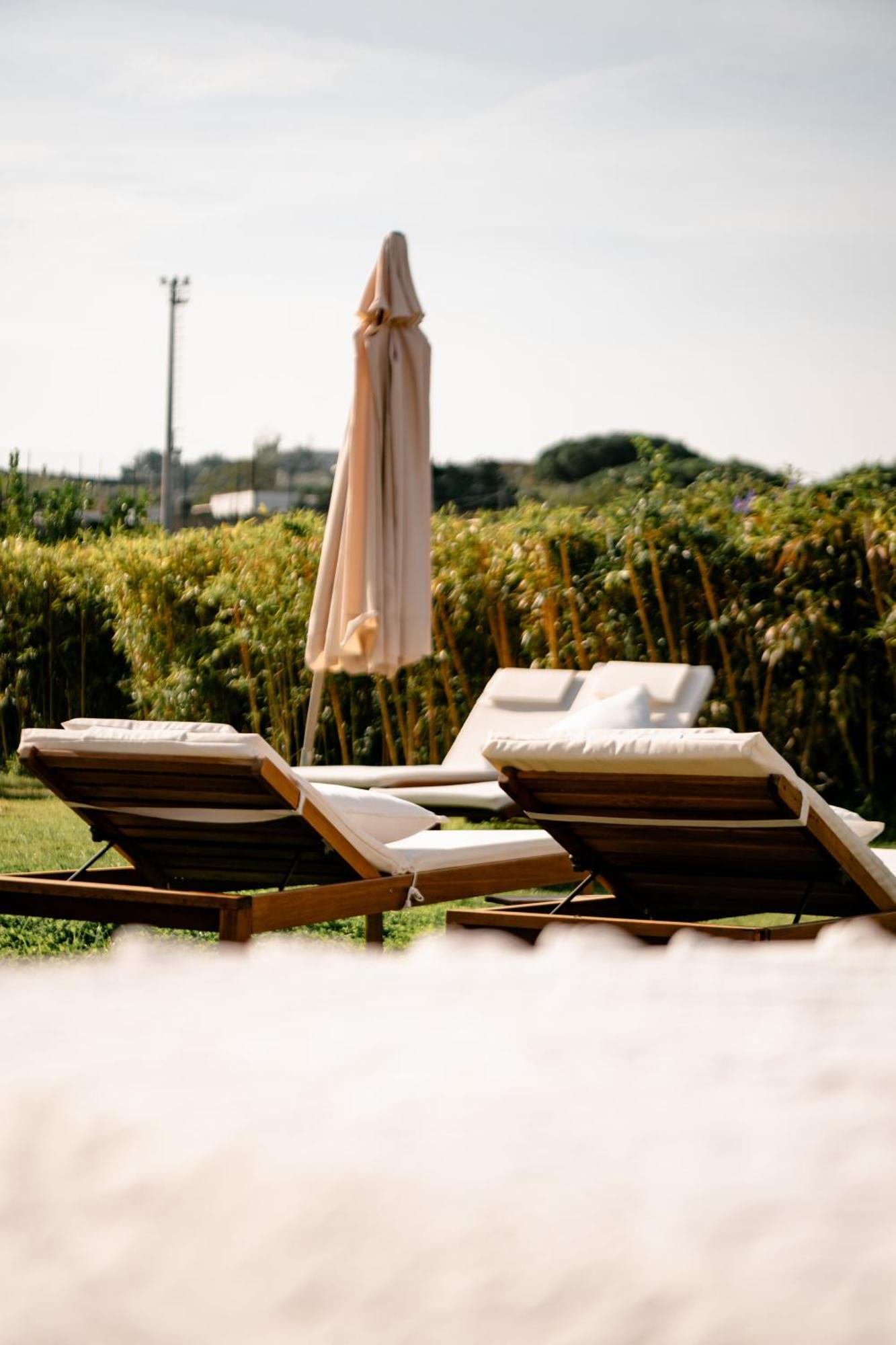 Tenuta Calitto Wine Resort E Spa Ischia Esterno foto